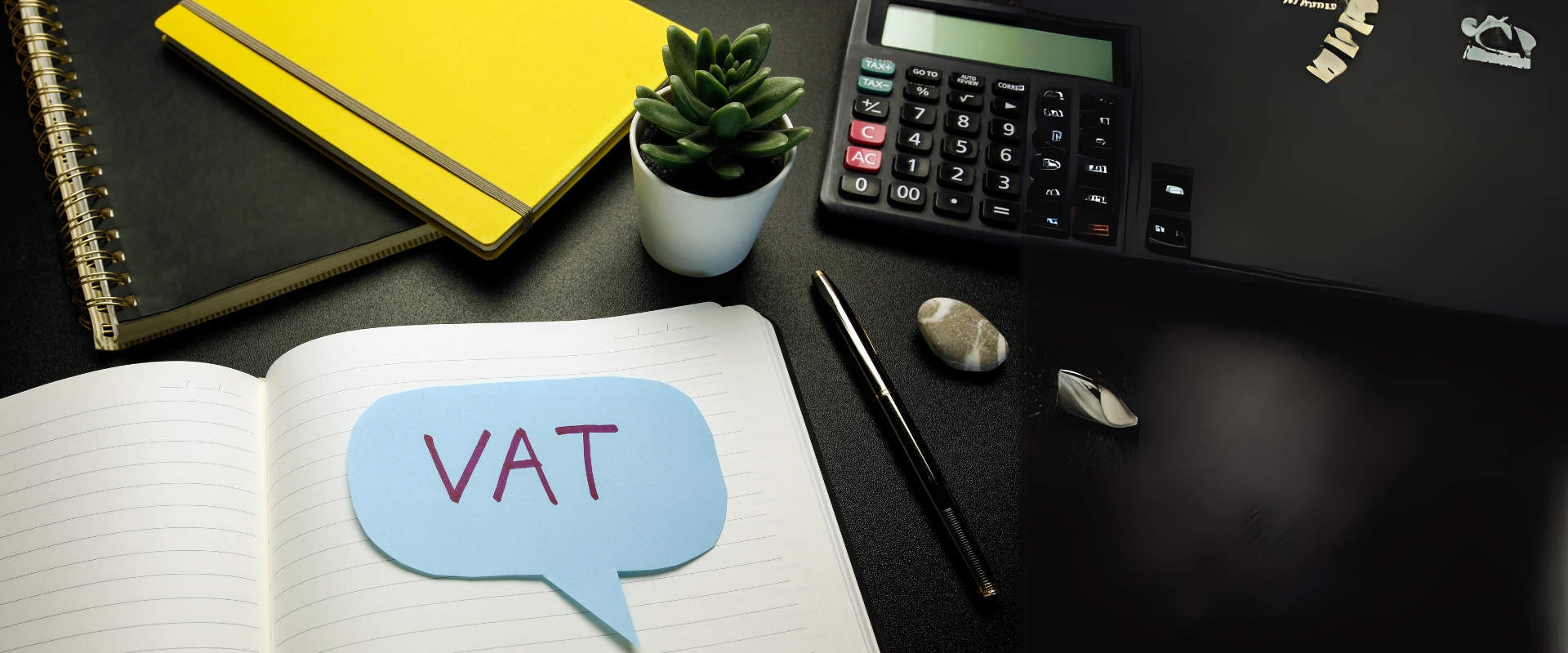 Complete Discussion of The Structure and Use of Domestic VAT Codes