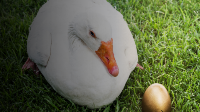 Government Opts to ‘Protect the Golden Goose’ in 2026 Tax Strategy